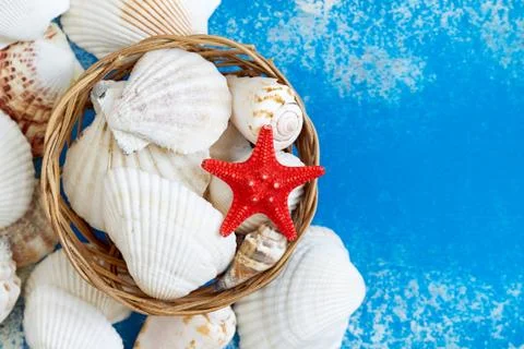 Various seashells in woven basket Stock Photos