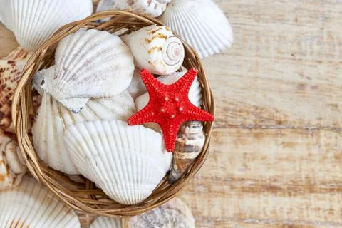 Various seashells in woven basket Stock Photos