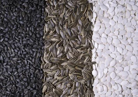 Various seeds as background, close up view. Foto stock