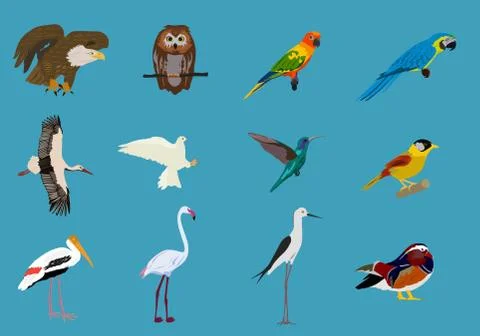 Various sets of birds Blue background,animals vector Stock Illustration