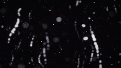 Various shapes moving randomly. Video stock 294032059