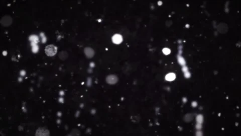 Various shapes moving randomly. Video stock 294032079