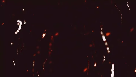 Various shapes moving randomly. Video stock 294032240