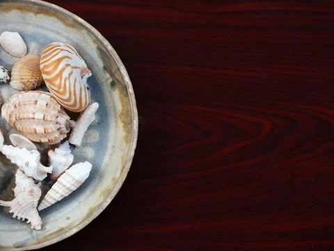 Various shellfish on a ceramic plate Stock Photos