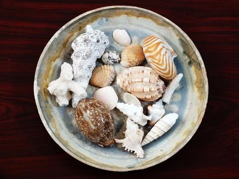 Various shellfish on a ceramic plate Stock Photos