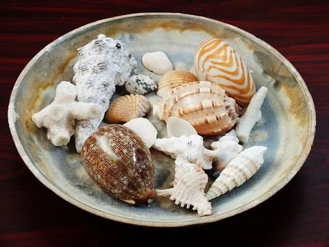 Various shellfish on a ceramic plate Stock Photos