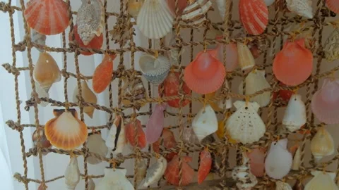 Various shells on the wall in the apartment house half a vacation at the sea Stock Footage 327523264