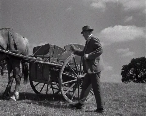 Various shots of cattle grazer herding his cows together with his wife, UK 1944 Video stock 136675230