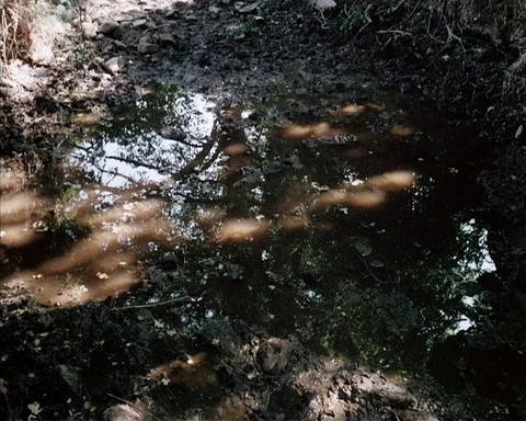 Various shots from documentary about importance of water in society, UK 1976 Stock Footage 141076620