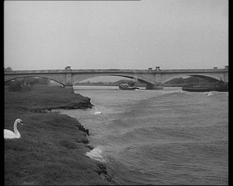 Various shots of riverside and barges loading up and transporting cargo, UK 1950 Stock Footage 132330626