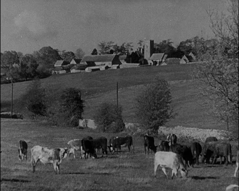 Various shots of small children evacuated into countryside, UK 1940 Stock Footage 141075455