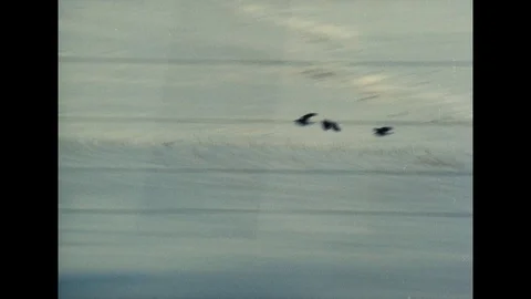 Various shots of a train moving through snowy countryside, UK 1963 Stock Footage 133281766