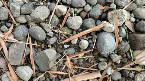 Various sizes of grey river stones Video stock 336551608