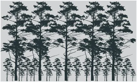 Various small and big dark grey trees in straight line make artwork on whit.. Stock Illustration