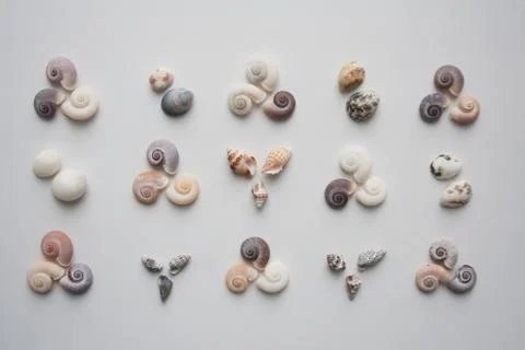 Various small seashells pattern on white background Stock Photos