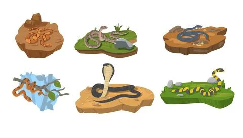 Various snakes crawling on the ground and tree, flat vector illustration Stock Illustration