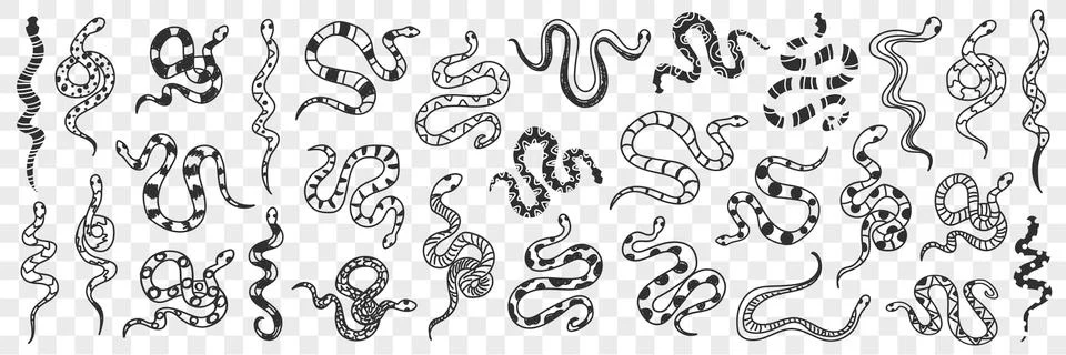 Various snakes of different patterns doodle set Illustrazione stock