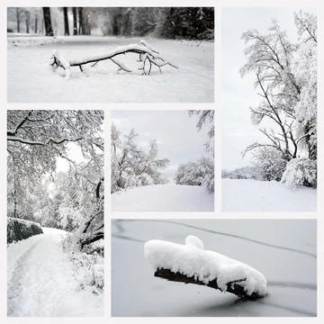 Various snowy landscape Stock Photos