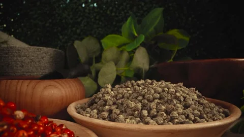 Various spices concept Stock Footage 199669468