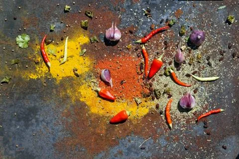 Various spices Stock Photos