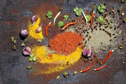Various spices Stock Photos
