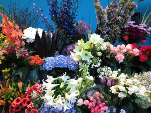 Various spring flowers Stock Photos