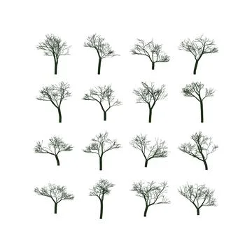 Various stages of tree branch development isolated on white background Stock Illustration