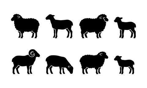 Various standing sheep silhouettes displayed in a neat arrangement. Stock Illustration