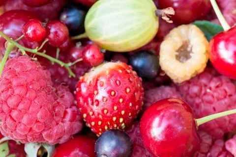 Various summer berries close up. Background of various raspberries, cherrie,  Stock Photos