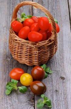 Various Tomatoes Stock Photos