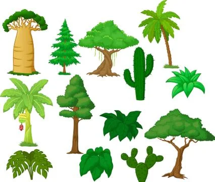 Various tree cartoon collection Stock Illustration
