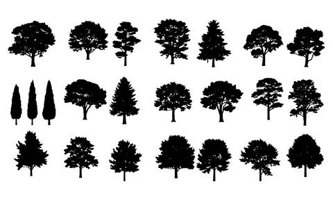 Various tree silhouettes collection including deciduous and evergreen trees.. Stock Illustration