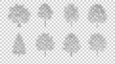 Various tree species outline set isolated on transparent background Stock Illustration