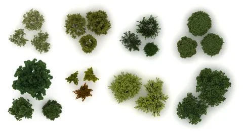 Various trees from top view Stock Illustration