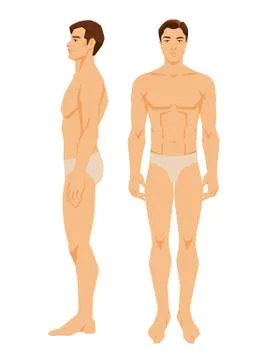 Various turns man's figure. Stock Illustration