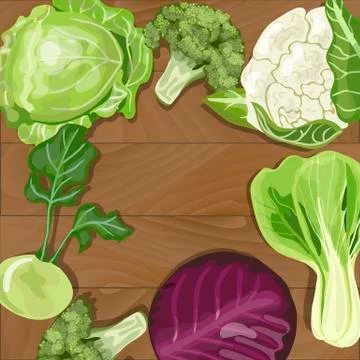 Various types of cabbage Stock Illustration