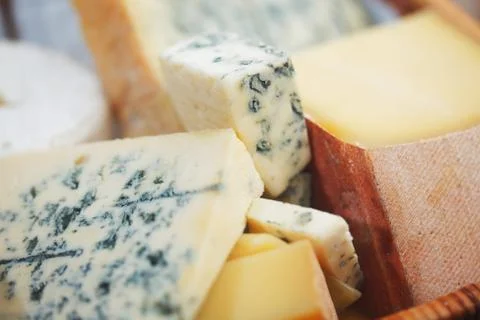 Various types of cheese composition Stock Photos