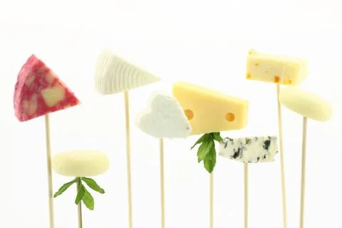 Various types of cheese isolated on white Stock Photos