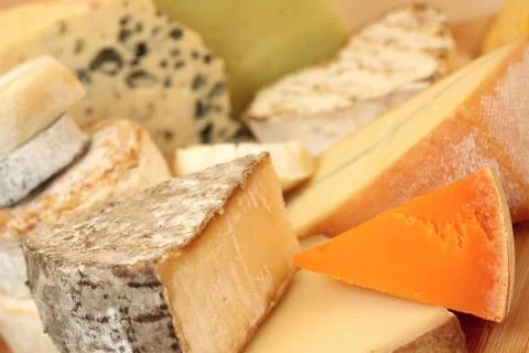 Various types of cheese Stock-Fotos
