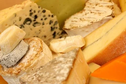 Various types of cheese Stock-Fotos