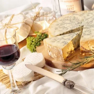 Various types of cheese set with grapes and nuts. Stock Photos