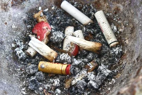 Various types of cigarette butts Photos