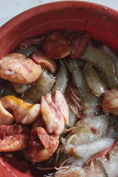 Various types of cleaned shrimp in a basin Foto stock
