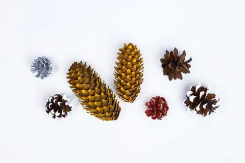 Various types of cones. Stock Photos