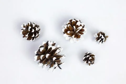 Various types of cones. Stock Photos