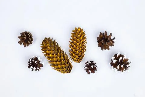 Various types of cones. Stock Photos