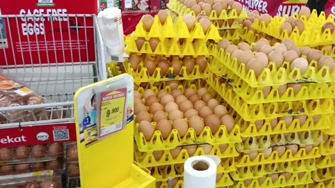 Various types of eggs are being sold in supermarkets Stock Footage 233245009