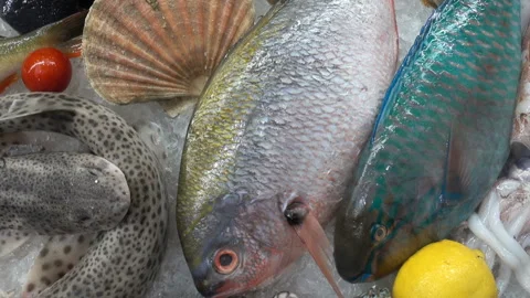 Various types of fish and seafood on ice Video stock 143609642