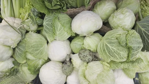 Various types of fresh cabbage heads lie mixed together at a market. Stock Footage 335583248