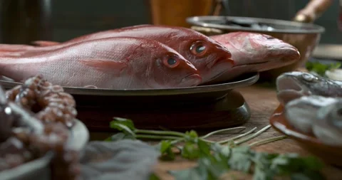 Various types of fresh fish, octopus and muscles arranged on plates and in bowls Stock Footage 199458171